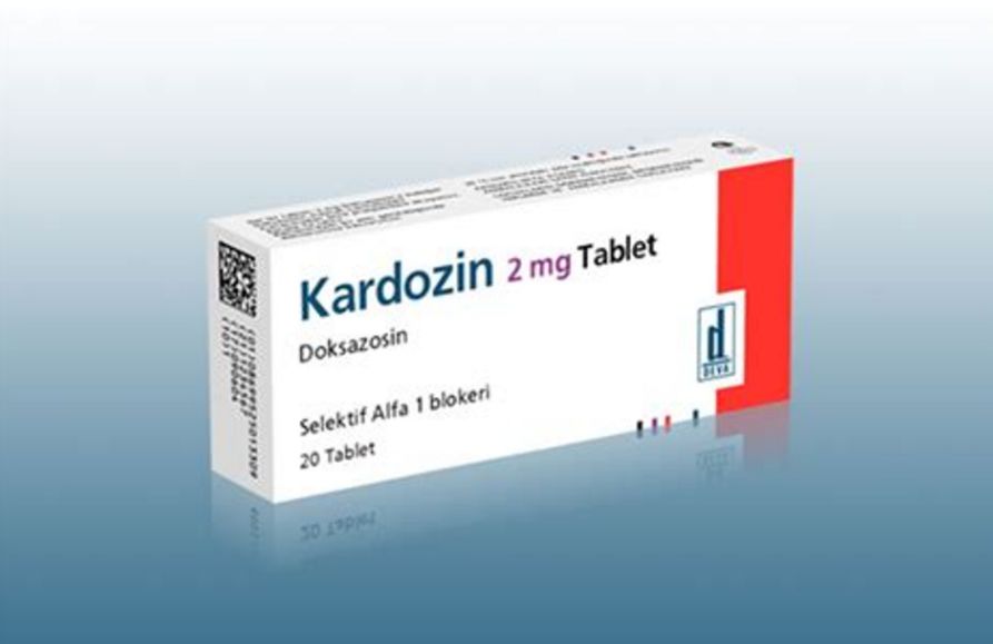 Kardozin Nedir