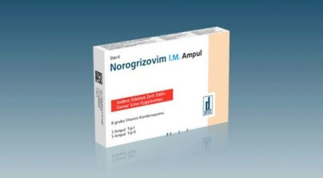 Norogrizovim Nedir